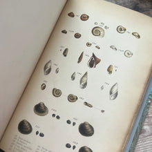 Load image into Gallery viewer, 1857 Manual of the Land and Fresh-Water Shells of the British Islands by William Turton
