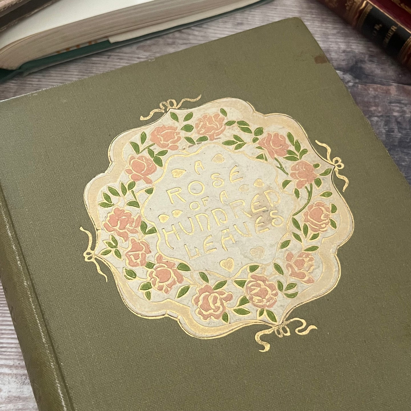 1893 A Rose of a Hundred Leaves by Amelia E Barr Beautiful Floral Binding
