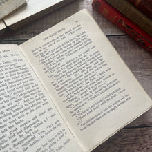 Load image into Gallery viewer, The Adventures of a Dodo by GE Farrow Illustrated by Willy Pogany Rare Antique Book
