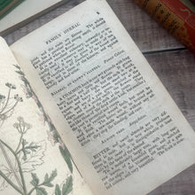 Load image into Gallery viewer, Early 1800's The Family Herbal by Sir John Hill; With Hand Coloured Plates
