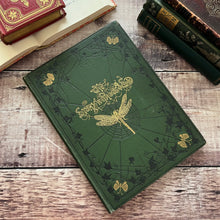 Load image into Gallery viewer, 1879 The Story Without an End by Sarah Austin Victorian Illustrated Book
