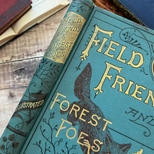 Load image into Gallery viewer, Victorian Book of Field Friends and Forest Foes; Illustrated 19th Century Book
