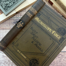 Load image into Gallery viewer, 1898 An Introduction to the Study of Microscopic Fungi; Illustrated Victorian Book
