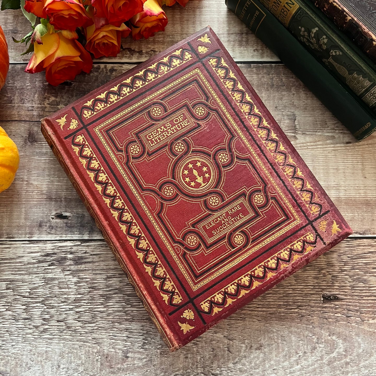 Gems of Literature Elegant, Rare and Suggestive Victorian 19th Century Book