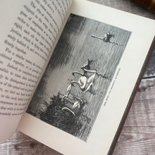 Load image into Gallery viewer, Half Hours In Field and Forest; Stunning Full Tree Calf Leather Binding
