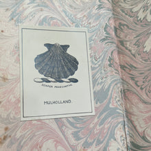 Load image into Gallery viewer, 1902 Works of C.S.Calverley; Half Vellum Art Nouveau Binding
