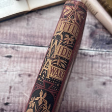 Load image into Gallery viewer, 1877 Little Wide-Awake A Story Book for Little Children by Mrs Sale Barker; Illustrated Victorian Book
