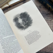 Load image into Gallery viewer, 1866 Antique Poetry Book: Faux Tortoiseshell &amp; Gilt Victorian Binding (Et)
