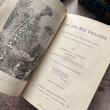 Load image into Gallery viewer, 1895 Life and Her Children by Arabella Buckley Illustrated Full Tree Calf Leather Book
