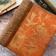 Load image into Gallery viewer, 1906 First Edition The Orange Fairy Book by Andrew Lang Antique Illustrated Book
