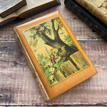 Load image into Gallery viewer, 1885 The Complete Poetical Works of Sir Walter Scott Mauchline Ware 19th Century Book
