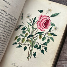 Load image into Gallery viewer, Early Victorian Language of Flowers; With Hand Coloured Plates
