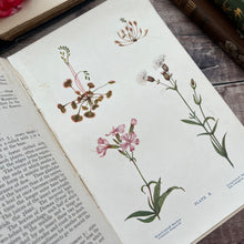 Load image into Gallery viewer, 1907 Flowers of the Field by Rev CA Johns; Antique Floral Binding Book
