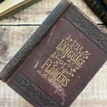 Load image into Gallery viewer, The Lover's Language of Flowers with Floral Poetry, Letters Etc 19th Century Book
