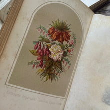 Load image into Gallery viewer, 1872 Langage Des Fleurs; French Language of Flowers with Colour Plates
