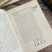 Load image into Gallery viewer, 1905 Northern Trails by William J-Long Illustrated Antique Book
