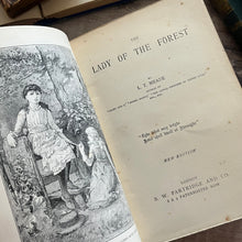 Load image into Gallery viewer, The Lady of the Forest by LT Meade Edwardian Book

