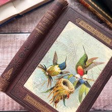 Load image into Gallery viewer, 1874 Hummingbirds by Mary and Elizabeth Kirby; Scarce FIRST Edition Victorian Book

