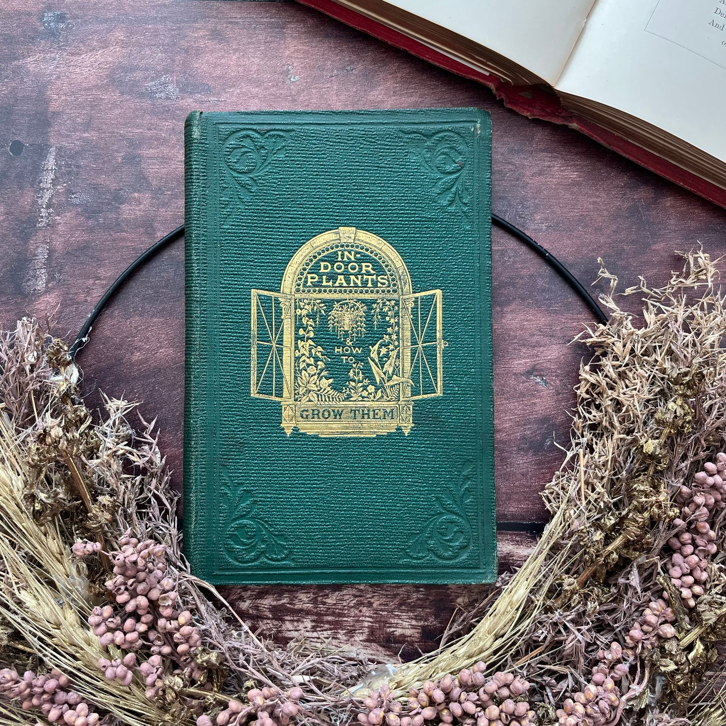 Rare First Edition 1861 Indoor Plants and How to Grow Them Beautiful Victorian Book