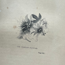Load image into Gallery viewer, 1848 Chapters on Flowers by Charlotte Elizabeth Early Victorian Full Morocco Binding
