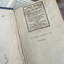 Load image into Gallery viewer, 1853 The Little English Flora or a Botanical and Popular Account of All Our Field Flowers
