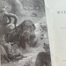 Load image into Gallery viewer, Stories of Wild Beasts by Ascott R Hope; Victorian Illustrated Book of Animals
