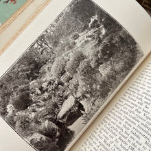 Load image into Gallery viewer, 1907 The Flower Garden by TW Sanders Beautiful Floral Binding
