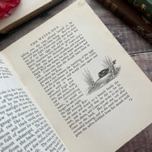 Load image into Gallery viewer, 1913 Wild Life on the Wing by M.D.Haviland; Illustrated Antique Bird Book
