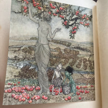Load image into Gallery viewer, Dish of Apples by Eden Phillpotts with Arthur Rackham’s illustrations First Trade Edition
