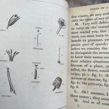 Load image into Gallery viewer, 1835 The Little Botanist by Caroline Halsted Two Volumes Late Georgian Antique
