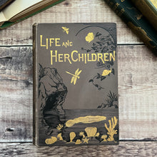 Load image into Gallery viewer, 1901 Life and Her Children by Arabella Buckley Illustrated Antique Book
