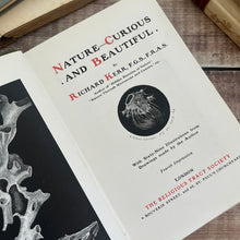 Load image into Gallery viewer, Nature Curious and Beautiful by Richard Kerr; Early 20th Century Illustrated Book
