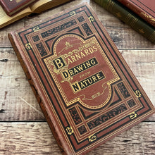 Load image into Gallery viewer, 1877 Drawings from Nature by Barnard Progressive Instructions in Sketching Victorian Book
