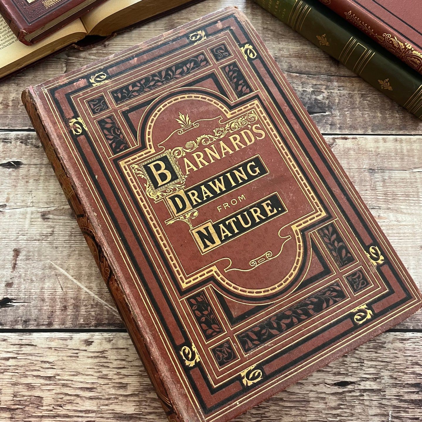 1877 Drawings from Nature by Barnard Progressive Instructions in Sketching Victorian Book