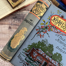 Load image into Gallery viewer, Noah's Ark A Tale of the Norfolk Broads by Darley Dale; Antique Pictorial Binding

