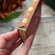 Load image into Gallery viewer, 1909 The Isle of Wight by CJ Cornish Full Leather Edwardian Book
