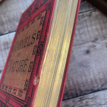 Load image into Gallery viewer, The Marvels of Nature in Earth, Sea and Sky Late Victorian Book WORN
