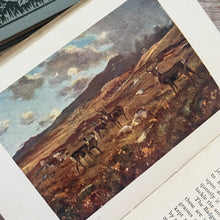 Load image into Gallery viewer, 1912 British Land Mammals by A Nicol Simpson; Peeps at Nature Series First Edition
