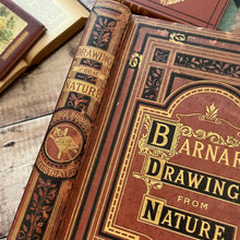 Load image into Gallery viewer, 1877 Drawings from Nature by Barnard Progressive Instructions in Sketching Victorian Book
