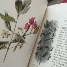 Load image into Gallery viewer, Familiar Wild Flowers Seven Volumes Bound as Four; Quarter Leather Illustrated Set
