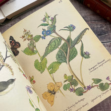 Load image into Gallery viewer, 1978 The Country Diary of an Edwardian Lady; Vintage Hardback with DJ
