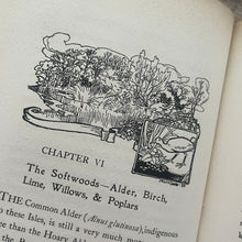 Load image into Gallery viewer, 1900 Our Forests and Woodlands by John Nisbet Limited Full Vellum Edition
