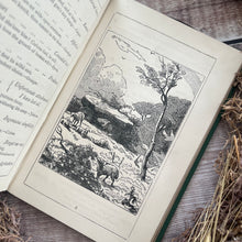 Load image into Gallery viewer, The Language of Flowers; Late Victorian Illustrated Book
