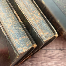 Load image into Gallery viewer, Familiar Wild Flowers Five Volumes; Half Leather Illustrated Set
