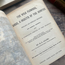Load image into Gallery viewer, The Wild Flowers, Birds, Insects of The Months; 19th Century Illustrated Book
