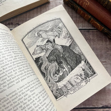 Load image into Gallery viewer, 1919 The Violet Fairy Book by Andrew Lang Beautiful Binding Antique Illustrated Book
