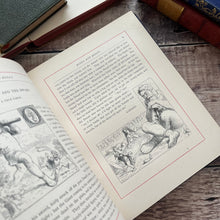 Load image into Gallery viewer, Roses and Holly A Gift Book for All Year Mid Victorian 19th Century Fine Binding
