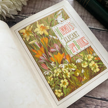 Load image into Gallery viewer, 1876 The Literary Bouquet Mid Victorian 19th Century Fine Cloth Binding
