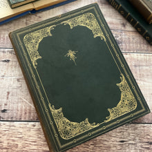 Load image into Gallery viewer, The Fairy Tales of Charles Perrault; Full Leather Deluxe Edition Illustrated by Harry Clark
