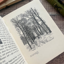Load image into Gallery viewer, J M Barrie's Peter Pan in Kensington Gardens;  Illustrated Arthur Rackham
